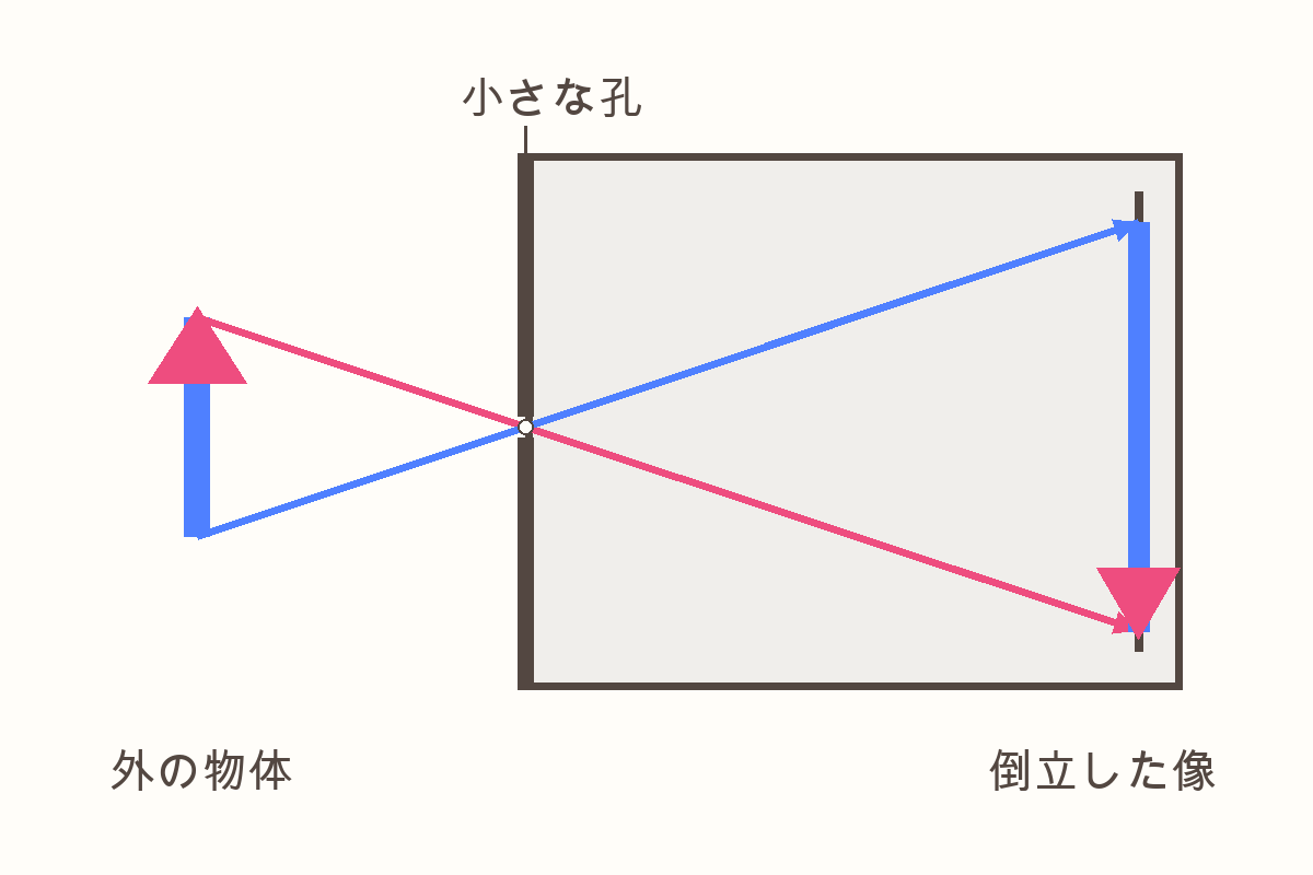 物体の上側から来たピンクの光と下側から来た青の光が、小さな孔で交差し、奥の面に上下逆の像を作る模式図。